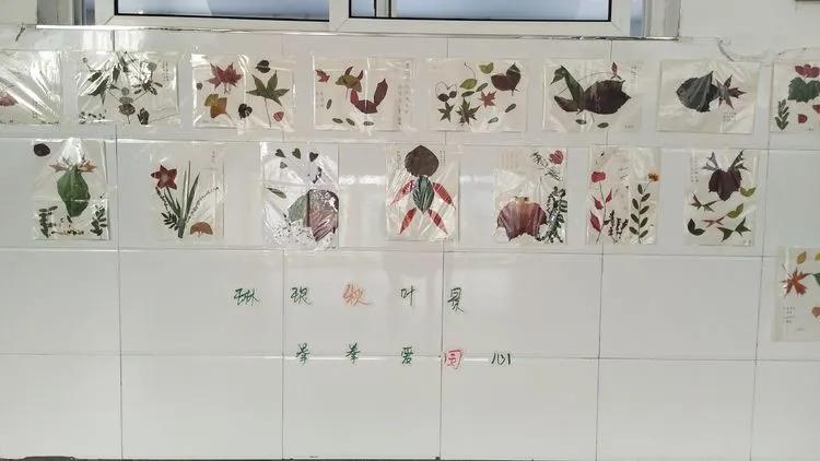 育才中学美丽校园,阜新市育才中学照片