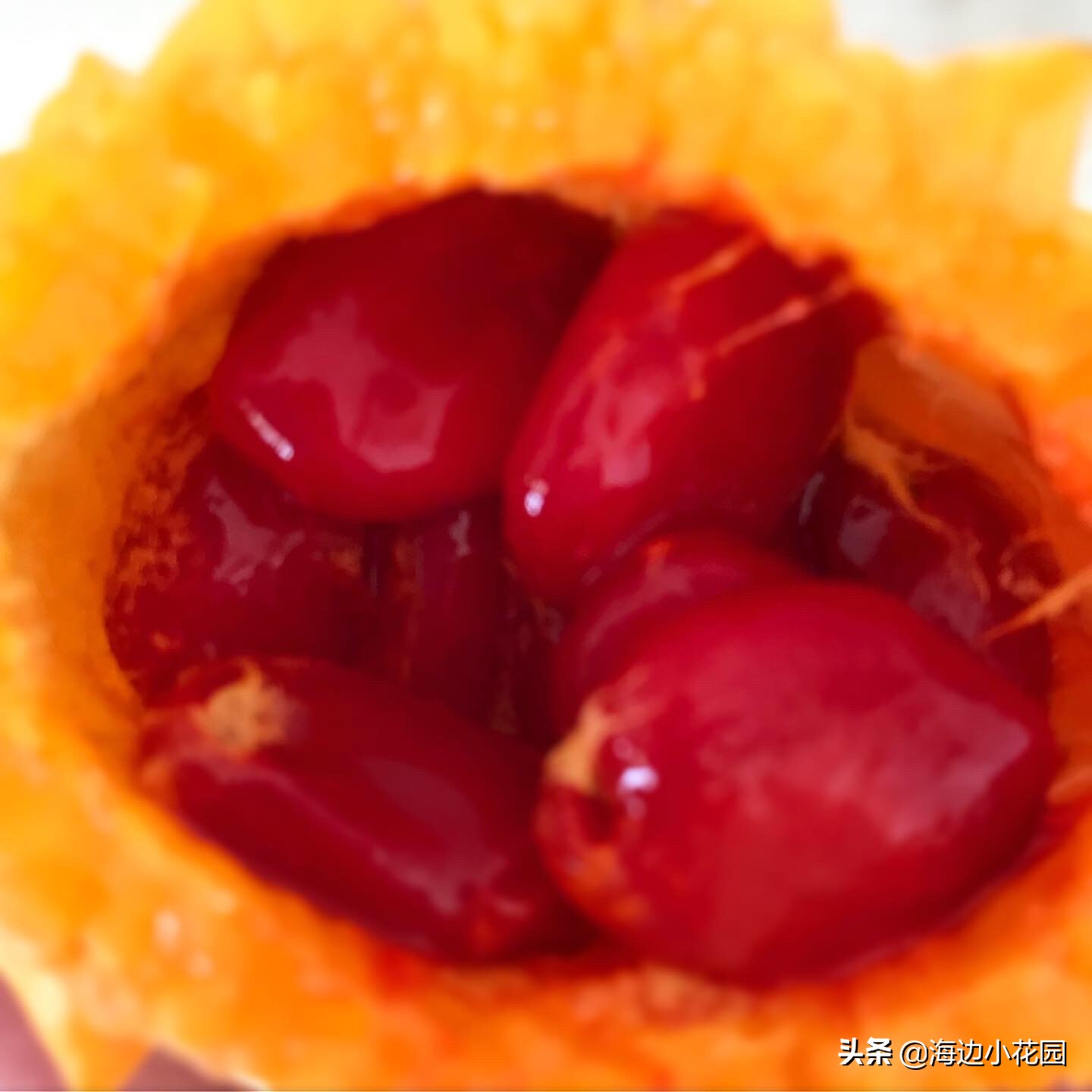 夏天的幸福味道,夏天的味道幸福满满