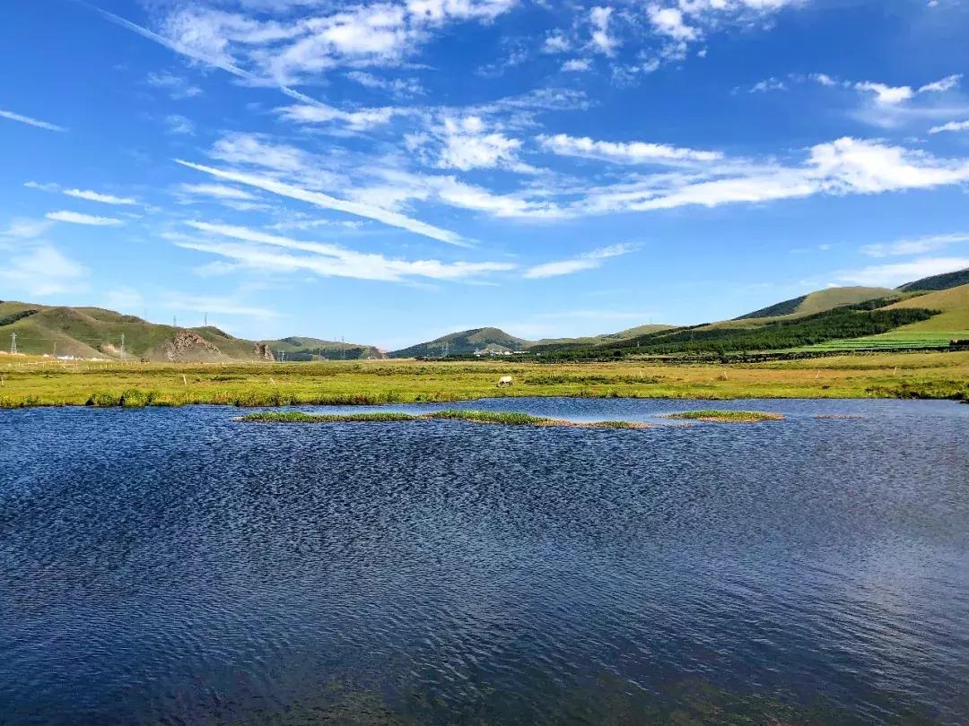 丰宁千松坝秋色,天凉好个秋拍摄