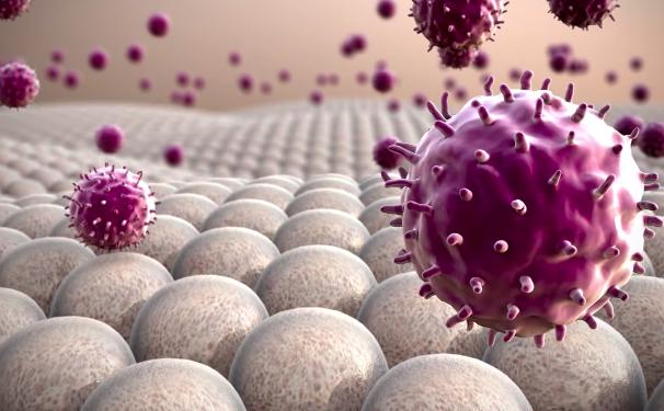 不吃饭但不饿能瘦吗,减肥晚上不吃饭饥饿难耐怎么办