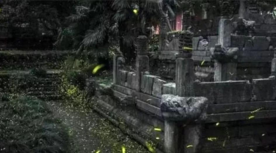 鬼吹灯之九层妖塔讲的是什么,鬼吹灯之九层妖塔是哪一部