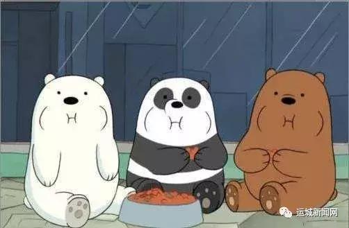 帮你分配最佳室友　运城学院这波操作，你觉得如何