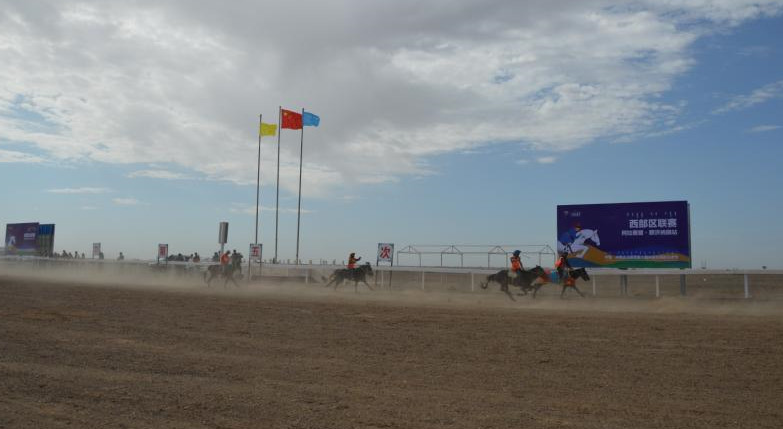内蒙古马术节完整版,第六届内蒙古国际马术节开赛