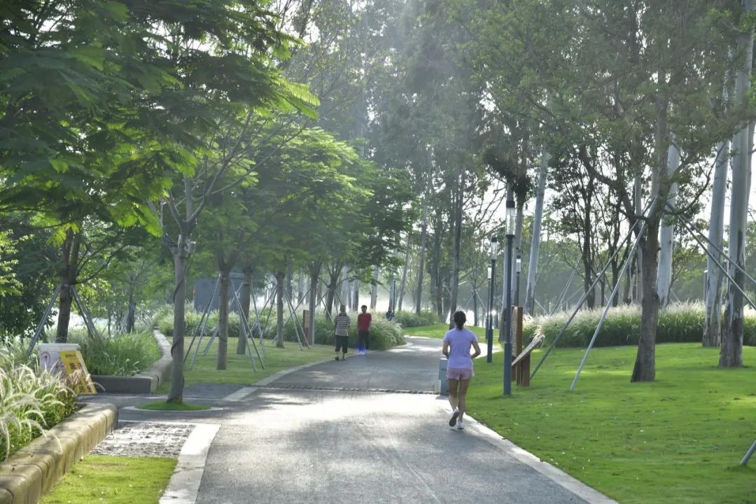 蝶变茅洲河，遇见城之美/同济设计TJAD