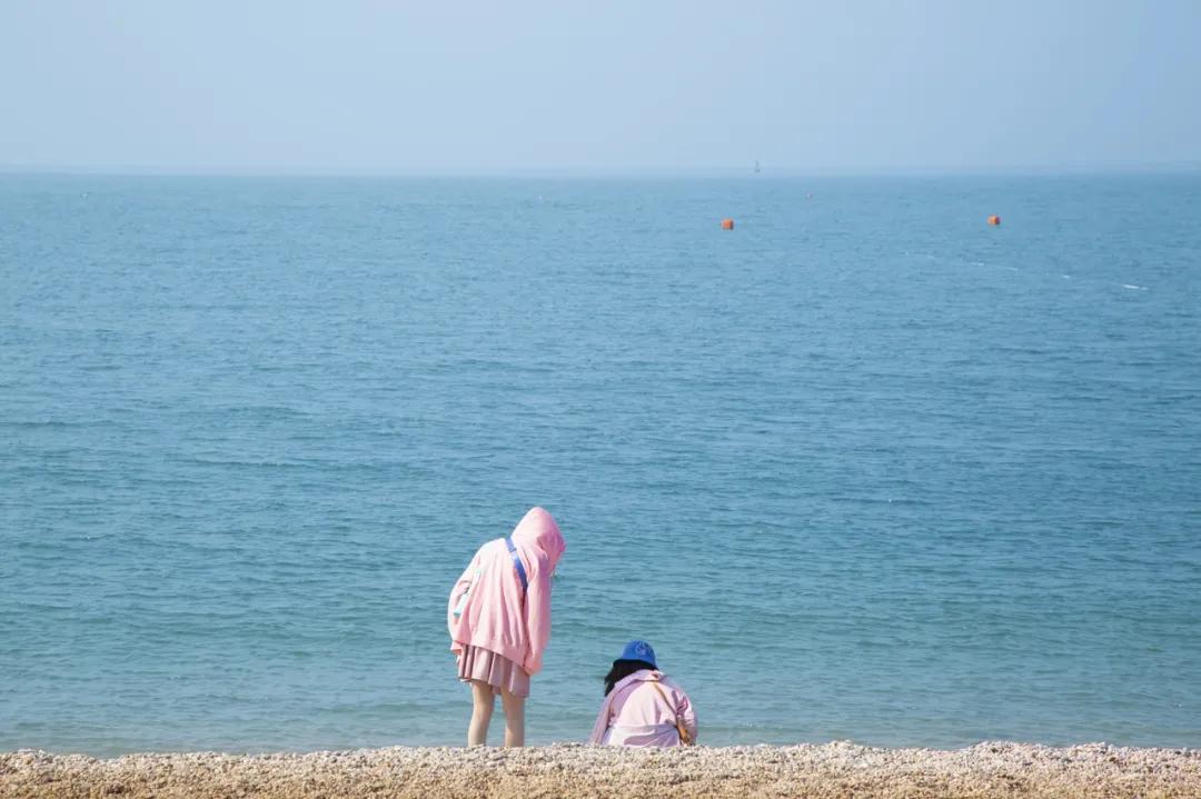 不吃不知道，这座海滨城市就是北方的顺德啊