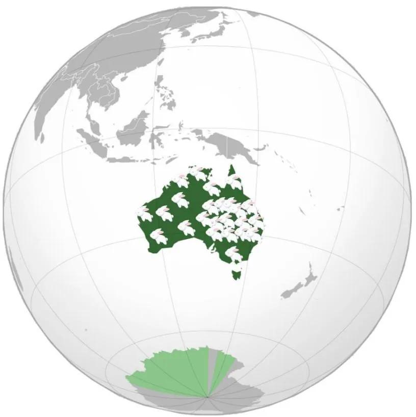 爱吃好斗、五色眼珠......聊聊小兔子的那些奇闻异事