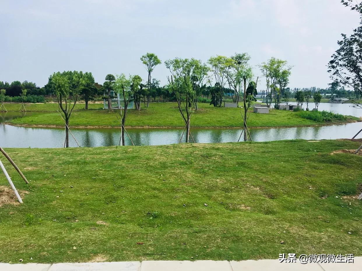 生活中你是什么样的性格,害羞的人有哪些心态