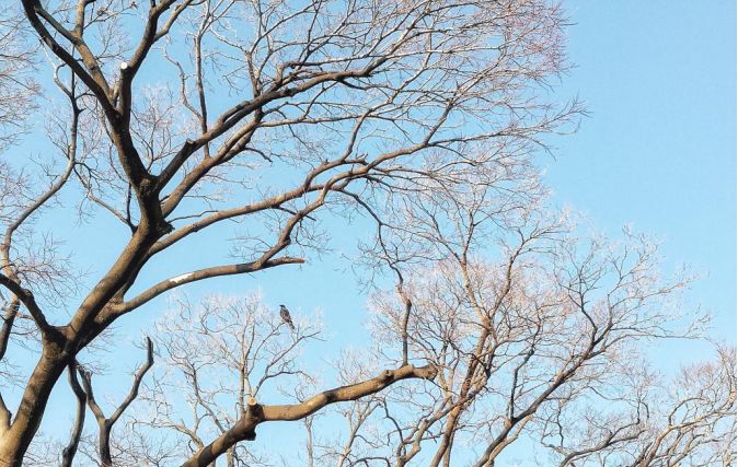 王思聪李易峰综艺节目,王思聪李易峰玩游戏