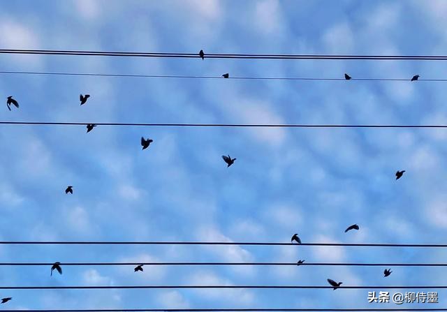 风光摄影拍摄技巧图片,风光摄影的意境之美5个诀窍