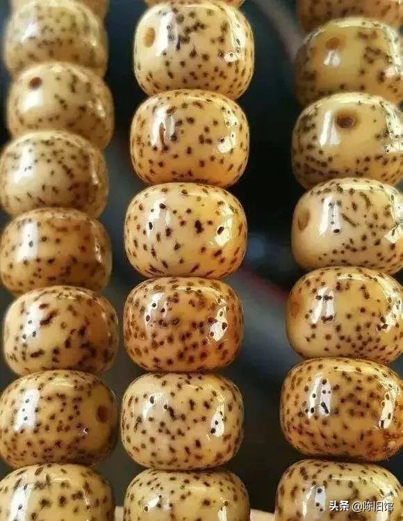 星月菩提如何盘玩成翠绿色,鸡油黄星月菩提盘出来的效果图