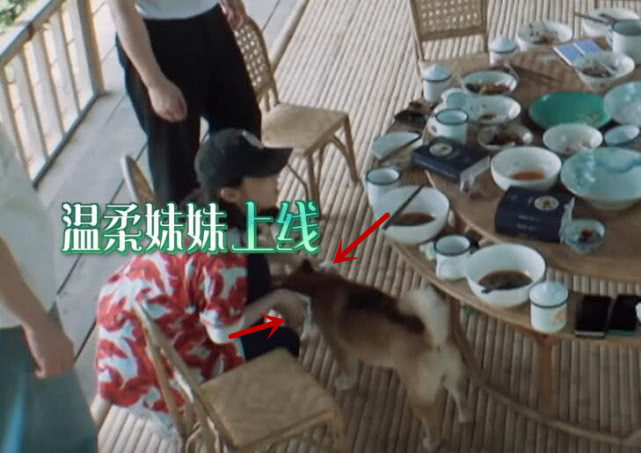 小h见到张子枫,小h探班张子枫