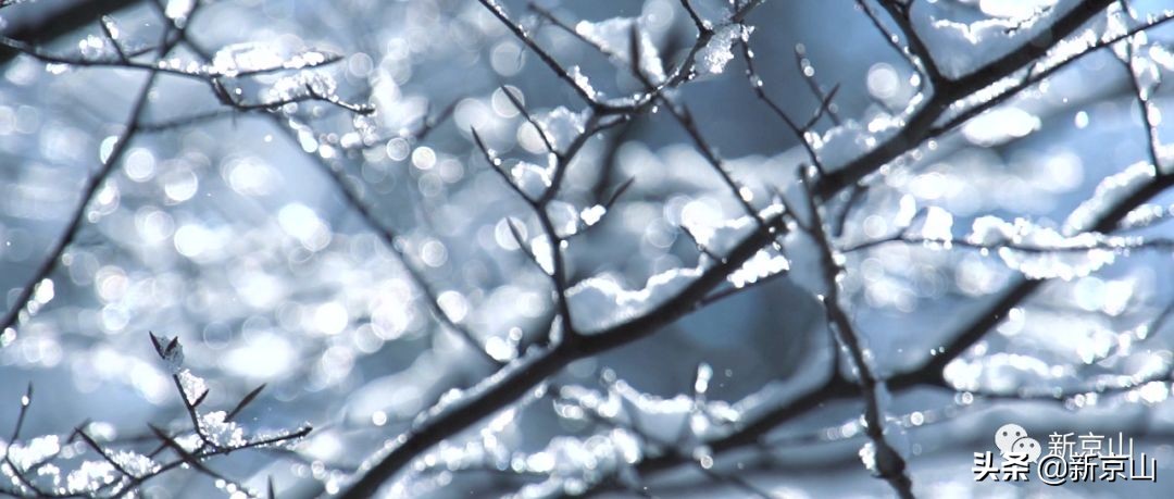 京山凉爽的旅游景点有哪些,生态京山景点