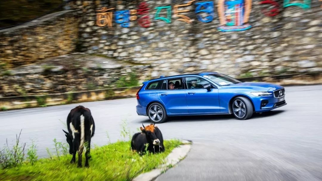 沃尔沃旅行车v60和v90碰撞测试,沃尔沃旅行车v6017年二手车价格