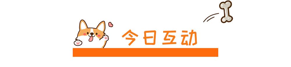 两只眼睛颜色不一样的狗子，到底有什么天赋异禀？