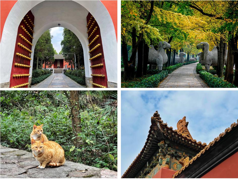 飞行2万公里，足迹10个城市——2020我的手机摄影之旅