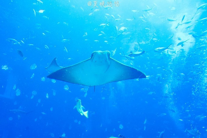 七星级酒店亚特兰蒂斯,三亚七星级酒店亚特兰蒂斯门票