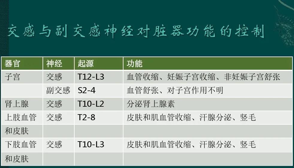 胸椎脊柱问题图解,不容忽视的肩周问题