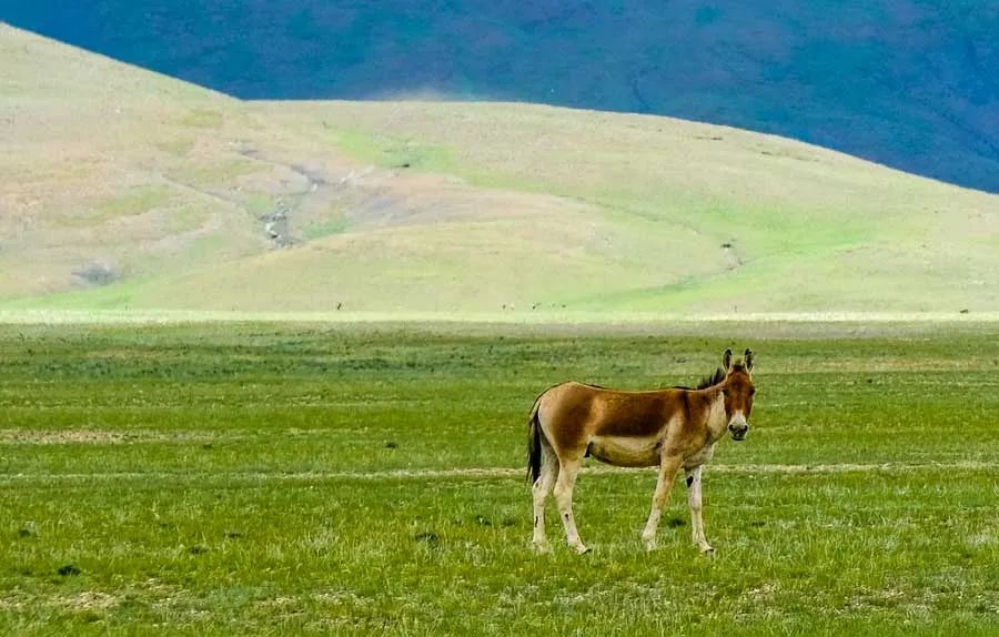 国道317进藏路上的风光,这9条进藏线路值得收藏