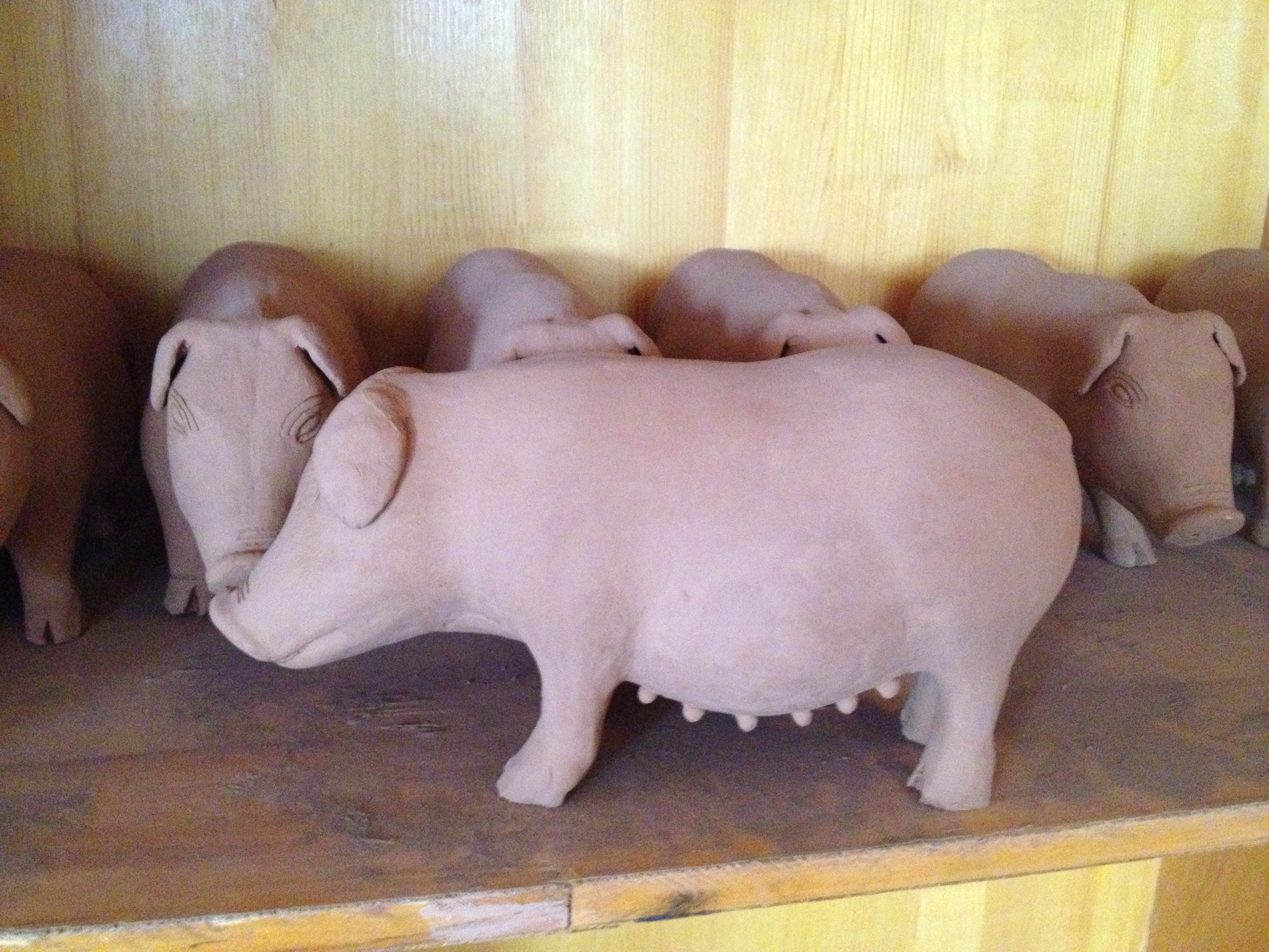 中国古人如何养猪,为什么古代人要养猪呢