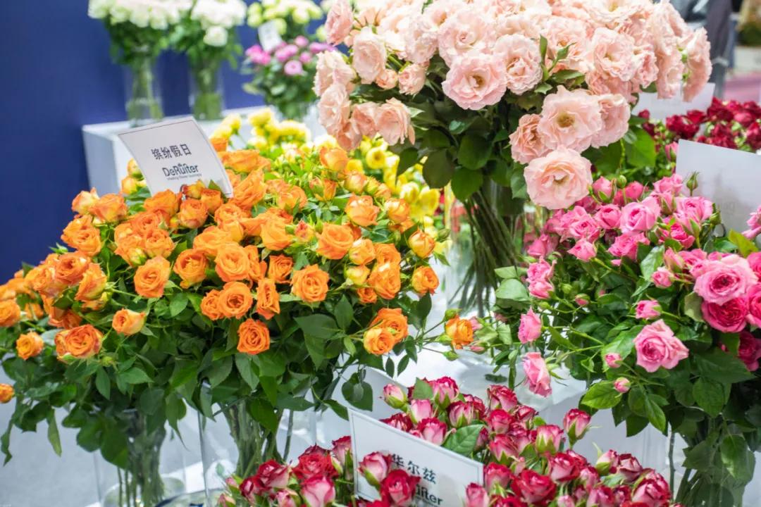 新零售实体店的创新与变革,2021年新零售的发展