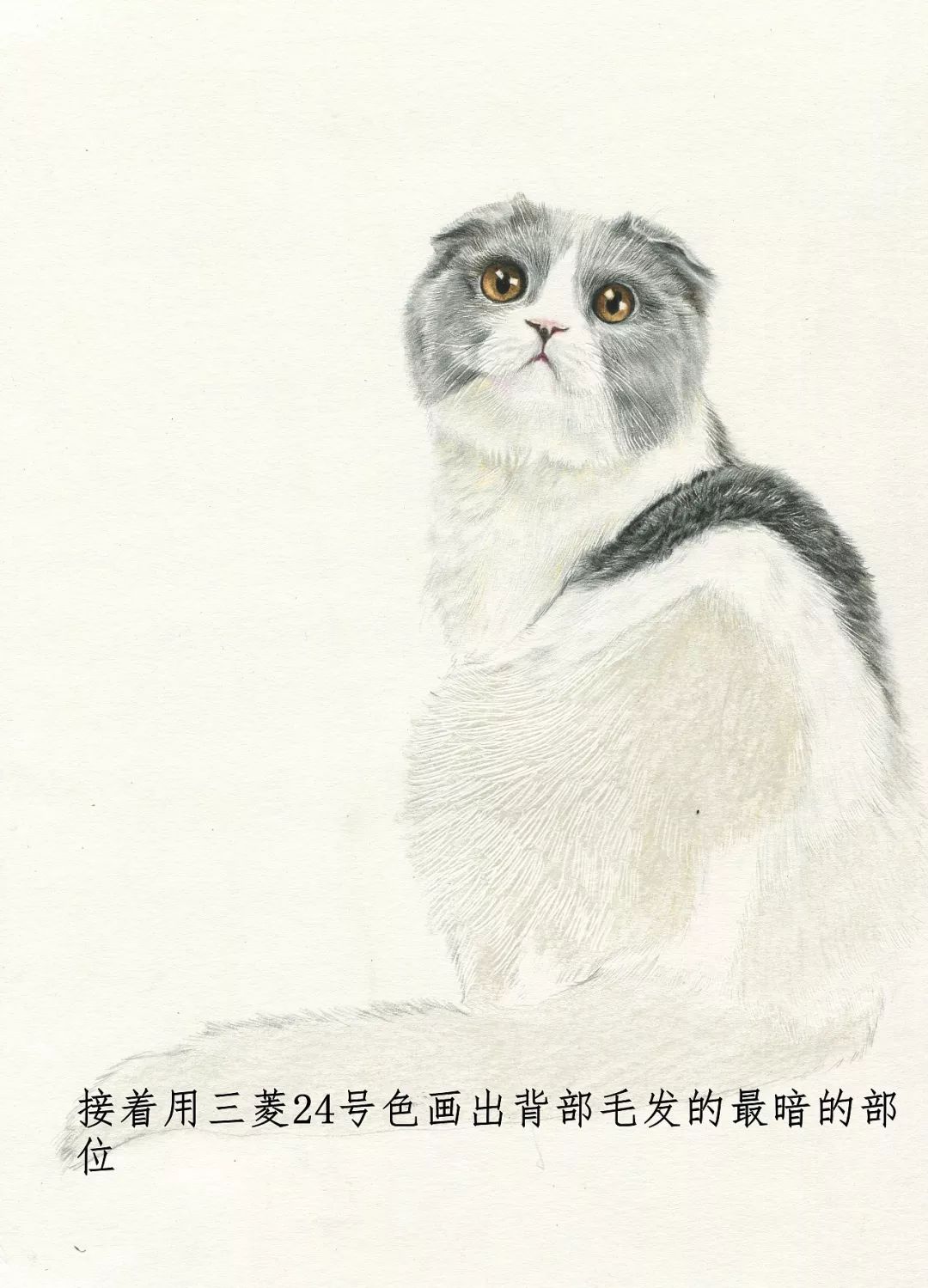 素描动物最全的收集,精微素描动物临摹高清大图