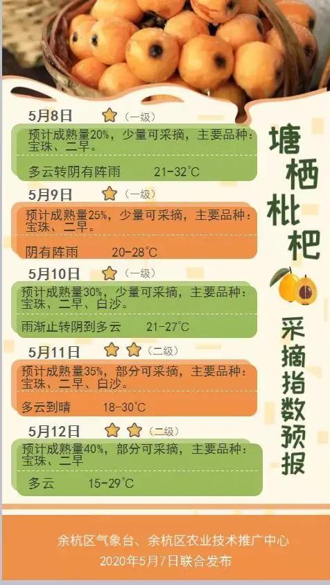 杭州塘栖枇杷采摘寄快递,塘栖枇杷采摘地点推荐