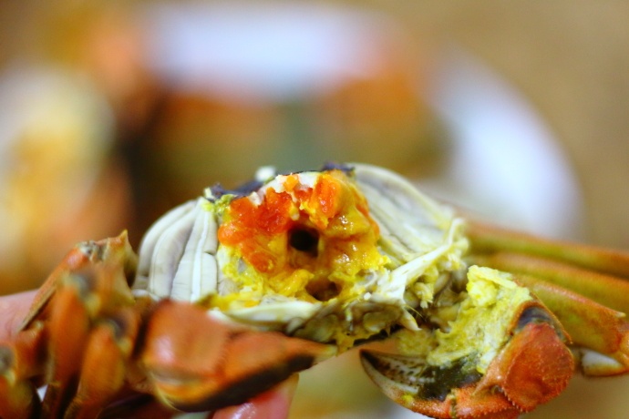 螃蟹什么季节好吃有肉,这个季节吃什么螃蟹能吃到新鲜的