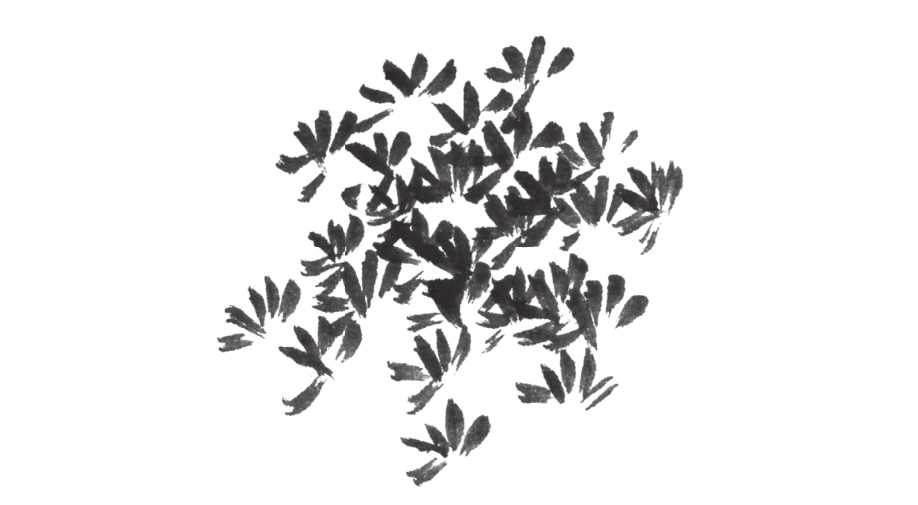 树画简单初学者教程,树画不好看了怎么改