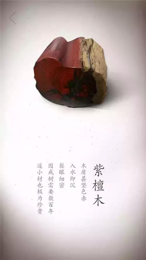 盘点木头！珍贵木材高清写真集