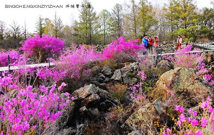 黑河加油北安平安,黑河加油万众一心抗击疫情
