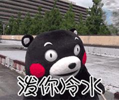 想在宿舍养一只活物,宿舍适合养什么猫