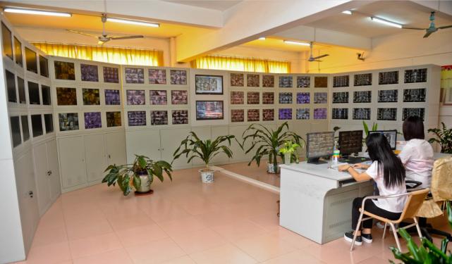 从“民校”到“名校”，小编带你看盛兴