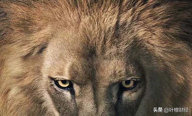 偏见让你爆仓!记住这两点涨8倍只是开始!