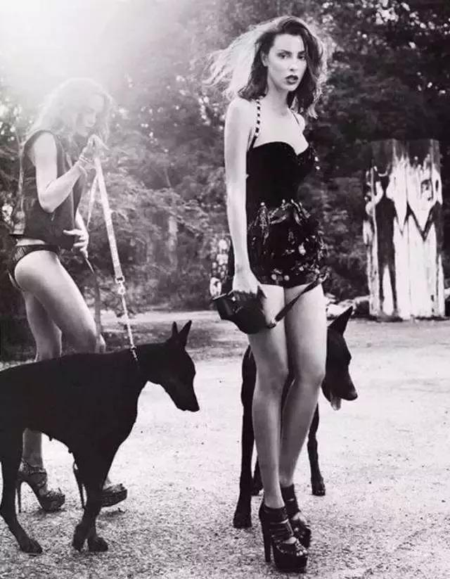 肌肉型猛犬图片,最帅最有气质的猛犬