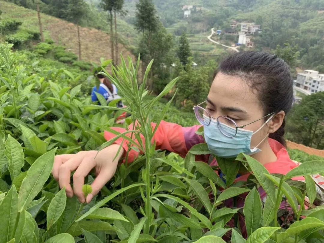 这帮人五一用爱心启航，一起为广西凌云大山的孩子点燃艺术之梦！