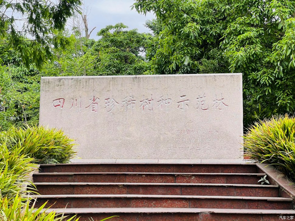 成都凤凰山公园可以爬山吗,成都凤凰山公园有什么好玩的