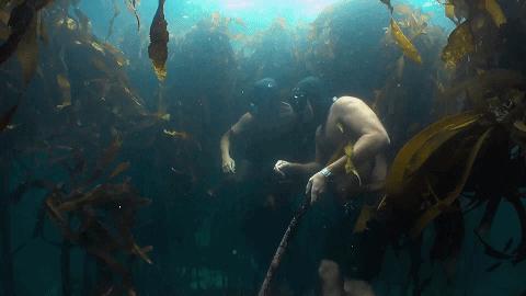 人鱼情未了在线阅读,人鱼情未了电视剧免费观看