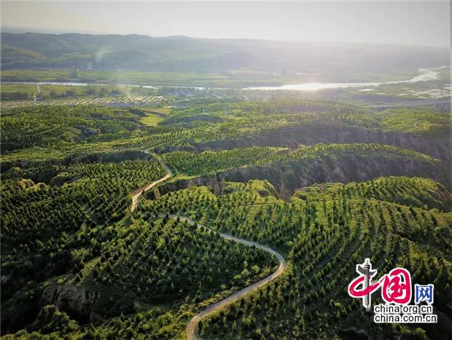 灏忓北鏉戝ぇ宸ㄥ彉,灏忓北鏉戠殑澶у彉闈╄档瀹跺硜