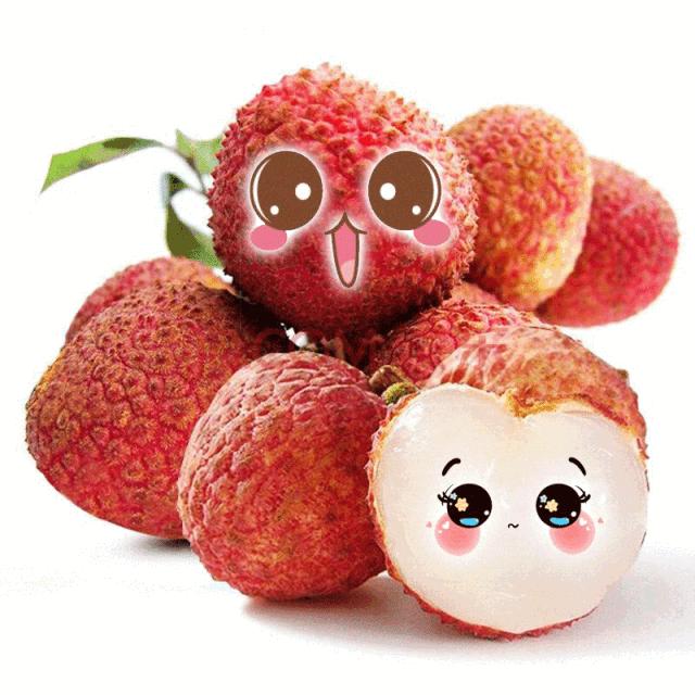 荔枝来了,荔枝来了视频完整版