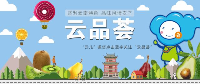 大理网红地方有哪些,云南大理网红景点洱海