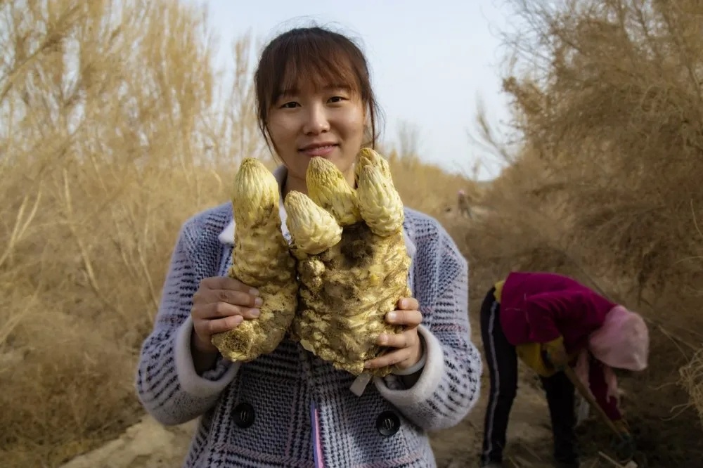 二师三十八团最新消息,二师三十八团图片