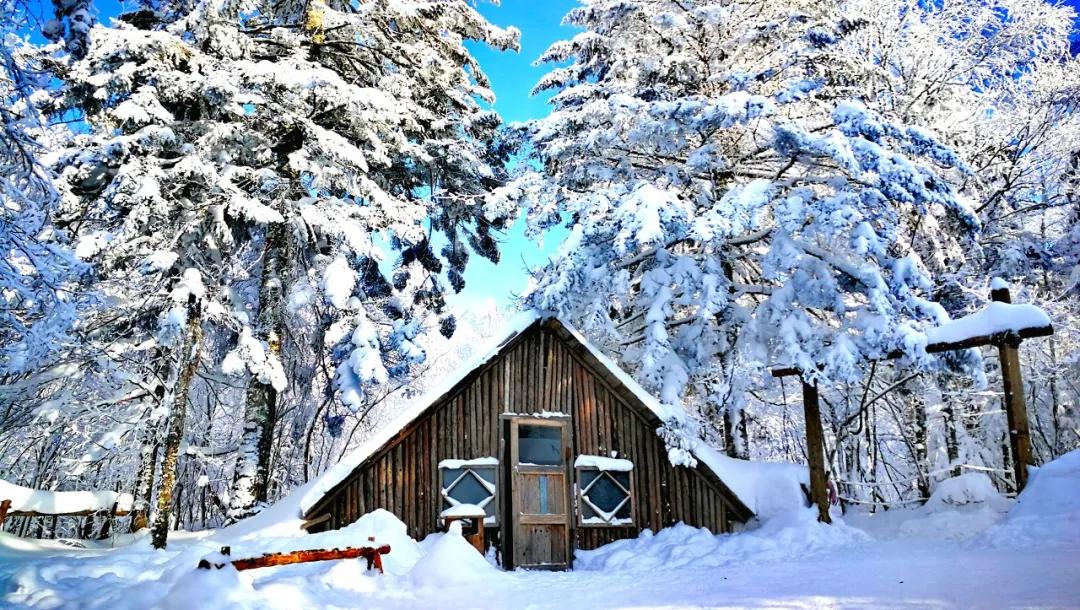 杭州怎么飞长白山,杭州能直飞长白山吗