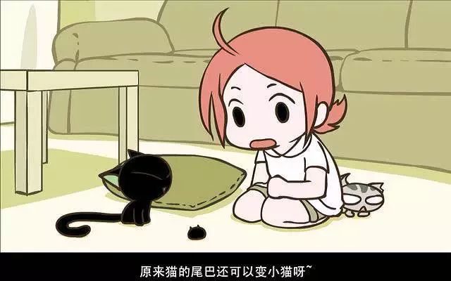 豆瓣9.6，B站9.8，又一国漫良心来了