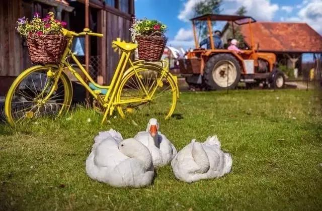 德国卡尔斯农场,德国卡尔斯草莓