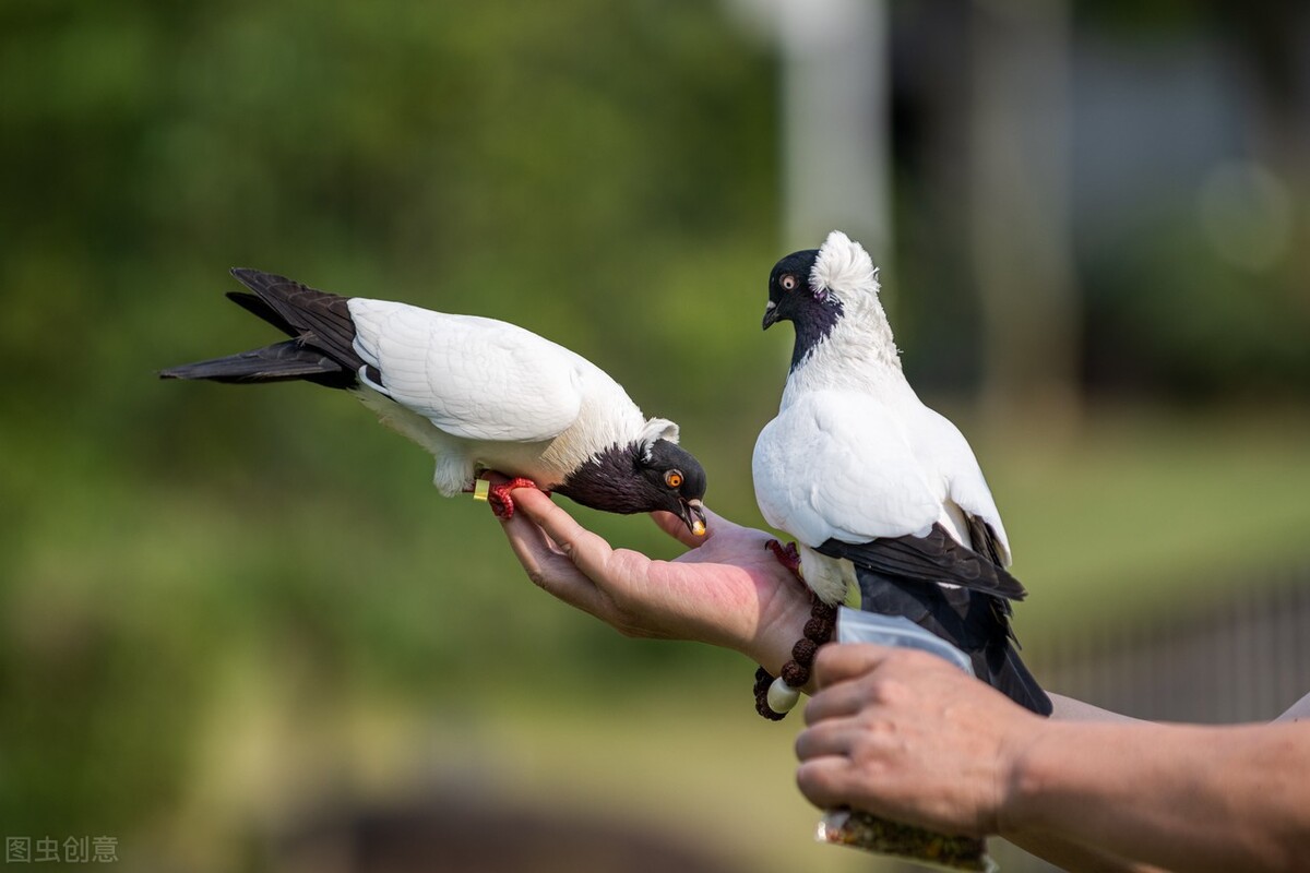 龚古尔文学奖中国评选,法国龚古尔获奖作品