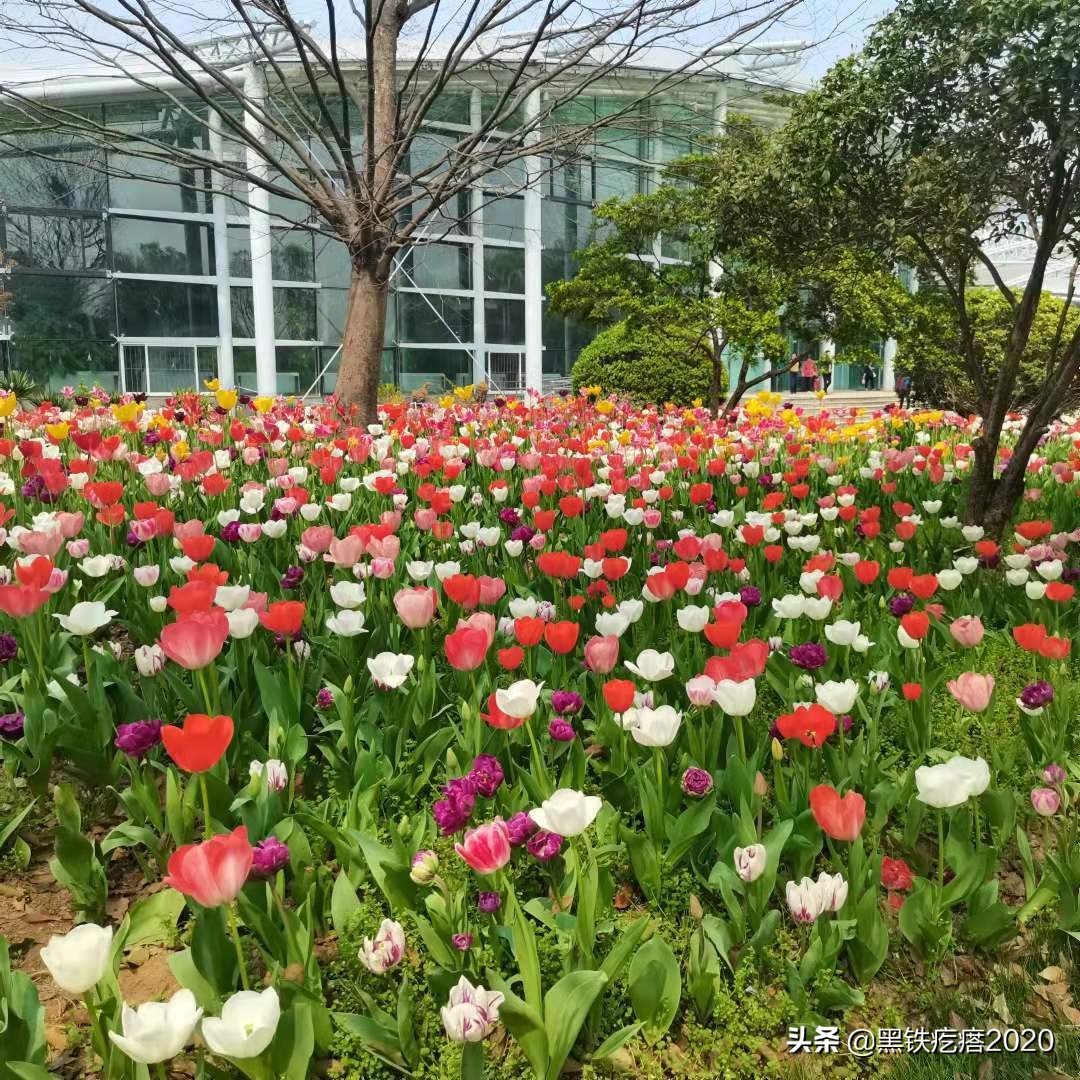 南京旅游攻略住宿酒店大学生,南京旅游攻略必去十个景点