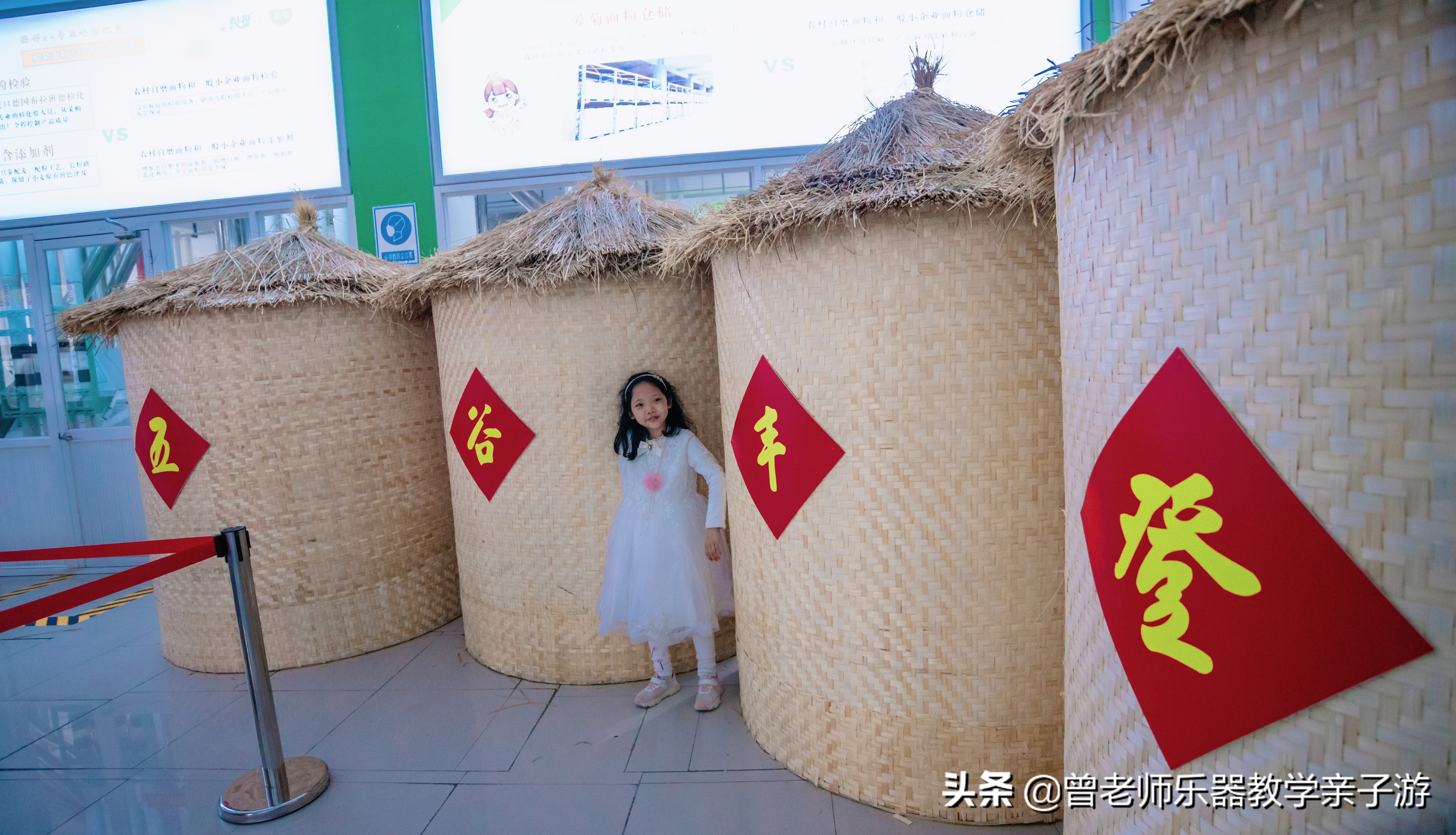 爱菊研学游,爱菊丝路文化菊花园西安