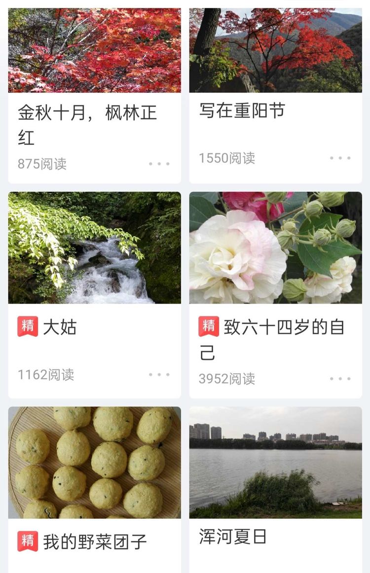 我写美篇得到的第一笔稿费，作者：褚丽君