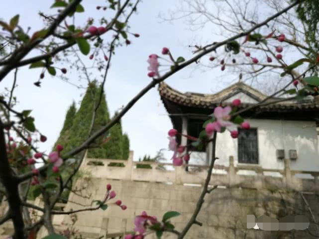 再访阿拉善,再访大理三塔