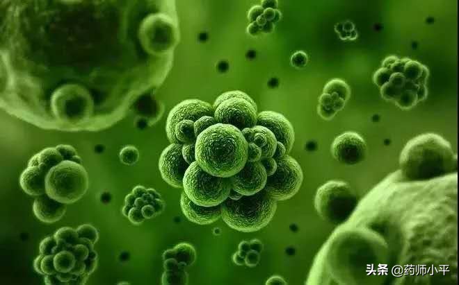 sars病毒用什么中药,什么中药对sars有效